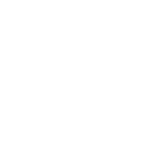 Service 2000 Italia